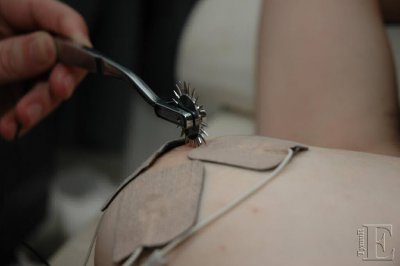 DSC_8495