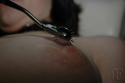 DSC_8500