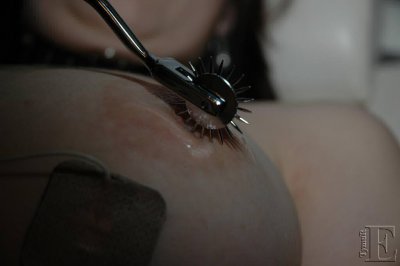 DSC_8510
