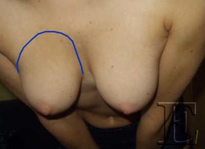 horni_krivka