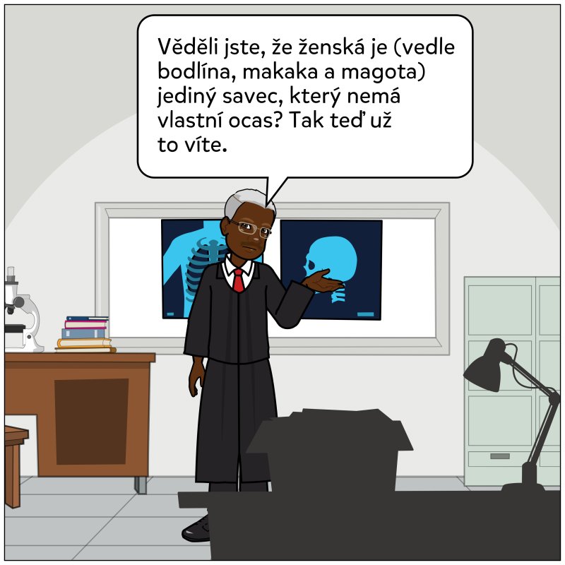 zenska3-1