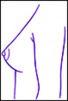 5.gif