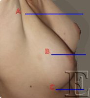 miry1.png