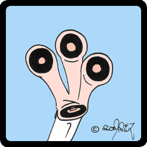 07